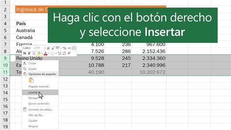 comando para insertar filas en excel|Cómo insertar varias filas en Excel